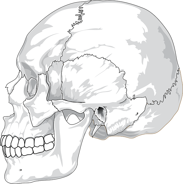 human
