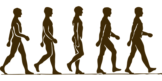human