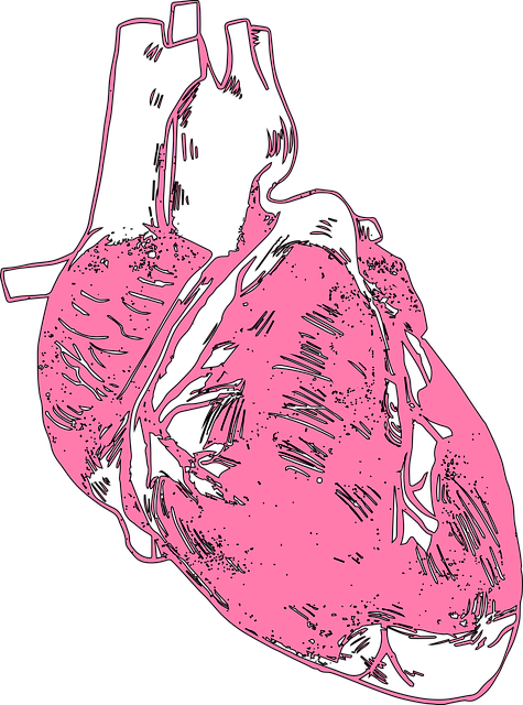 human