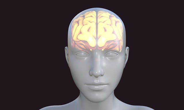 human