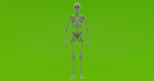 human-640x480-46166675.jpeg