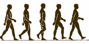 human-640x480-462783.png