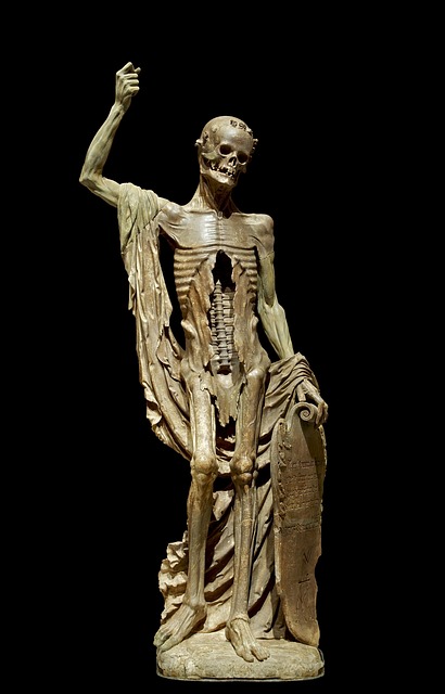 human