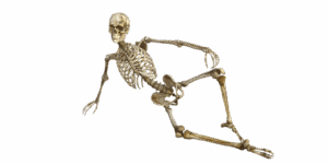 human-640x480-57242159.png