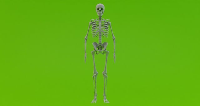human