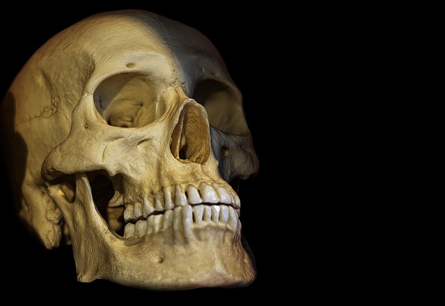 human-640x480-72360827.jpeg