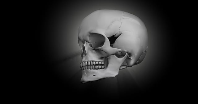 human