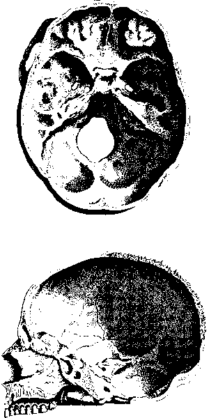 human-640x480-75466396.png