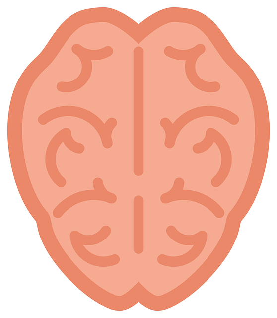 human