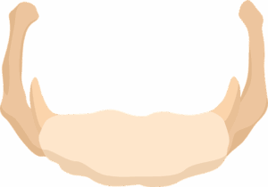 human-640x480-93001940.png