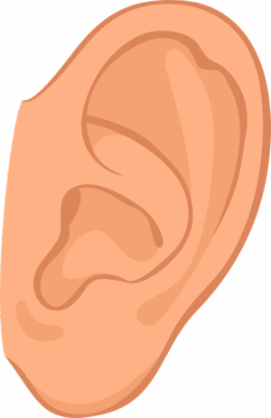 human-640x480-94590443.png