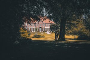 lawn-care-640x480-57661576.jpeg