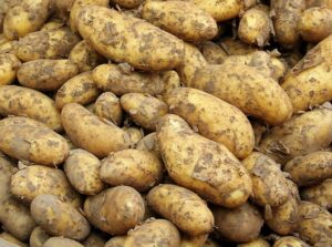 local-food-640x480-82839108.jpeg