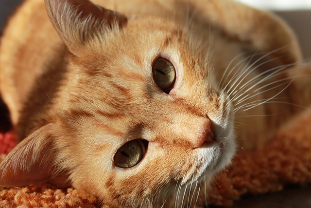 portrait-640x480-46242568.jpeg