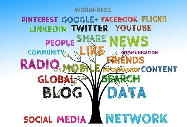 social media