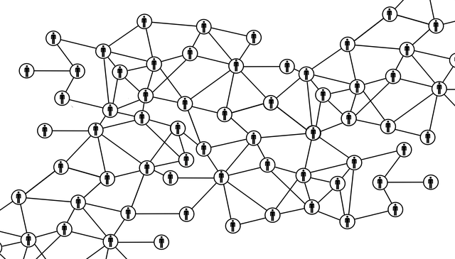 social network