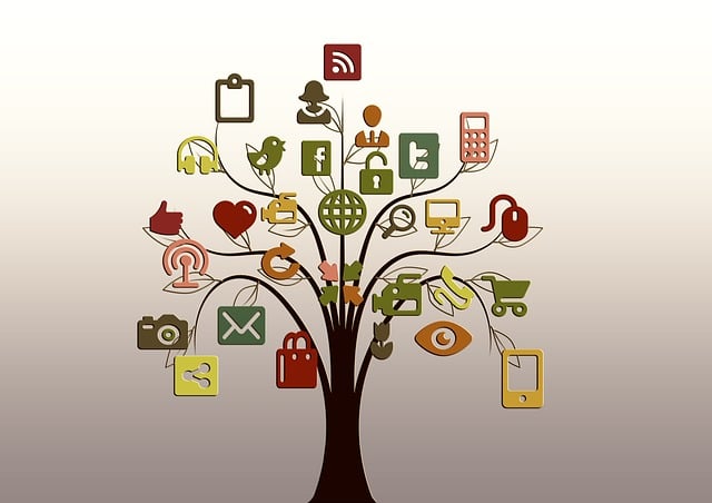 social network