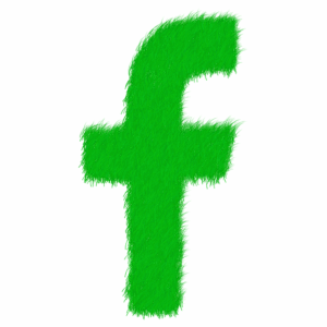 social-network-640x480-21931161.png