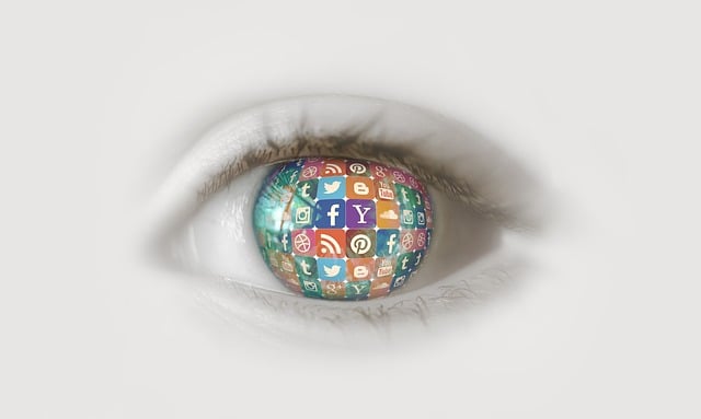social network