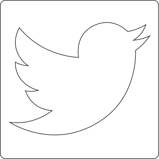 social network