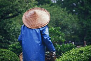 Optimizing Yard Waste Removal and Recycling: Effective Strategies