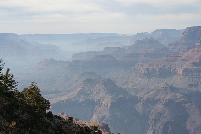 arizona