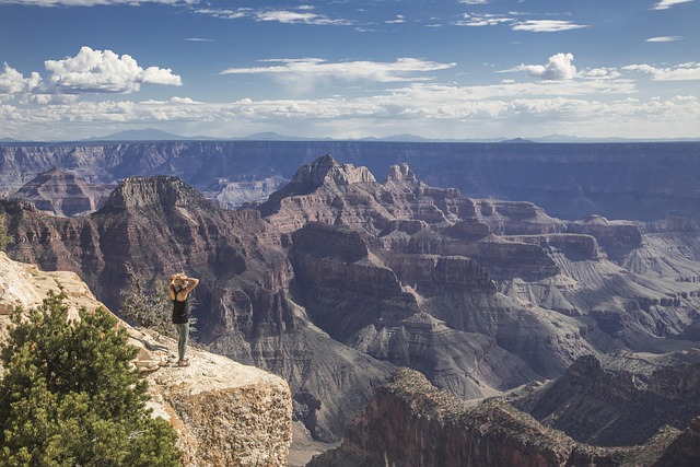 arizona