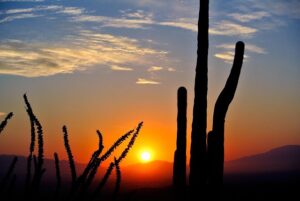 arizona-640x480-19464928.jpeg