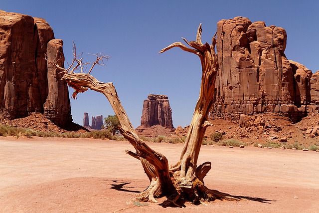 arizona-640x480-24365473.jpeg