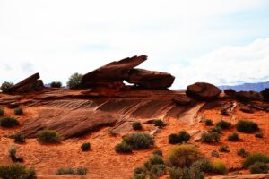 Fort Mohave SEO: Optimize for Voice Search Dominance