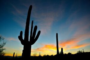 arizona-640x480-33099976.jpeg