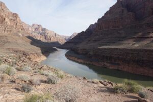Fort Mohave SEO: Elevate Mobile Search Experience with Targeted Optimization Strategies