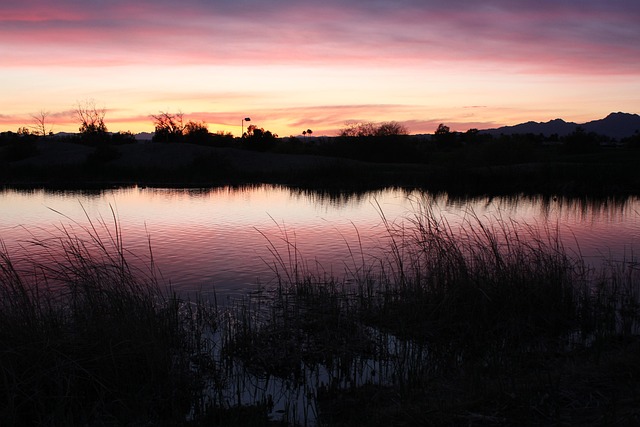 arizona-640x480-41325118.jpeg