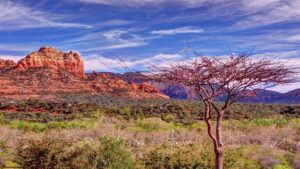 arizona-640x480-62163270.jpeg