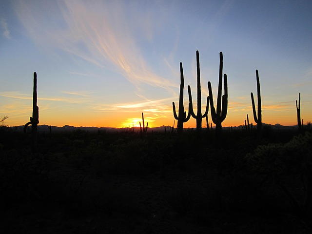 arizona-640x480-71936506.jpeg