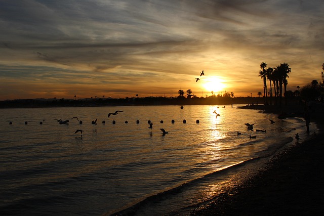 arizona-640x480-857827.jpeg
