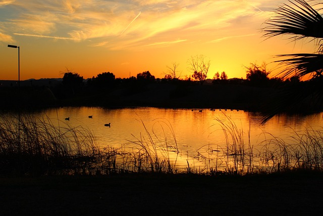 arizona