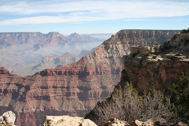 arizona