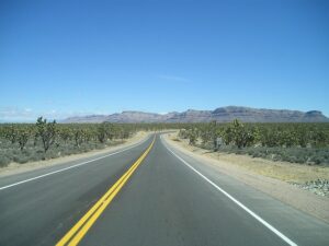 Tanque Verde SEO: Data-Driven Tactics for Startup Revenue Growth