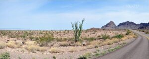 arizona-640x480-9898243.jpeg