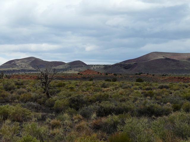 arizona-landscape-640x480-21736049.jpeg