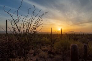 arizona-landscape-640x480-24473175.jpeg