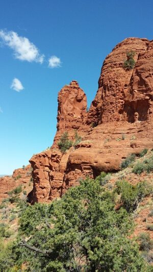Tucson SEO: Unleashing Power of Entity-Based Schema Markup Strategies