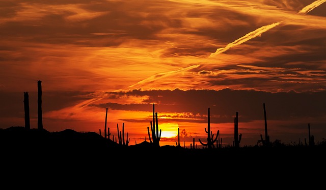 arizona landscape