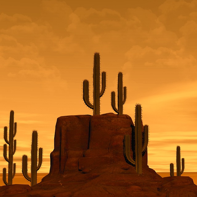 arizona landscape
