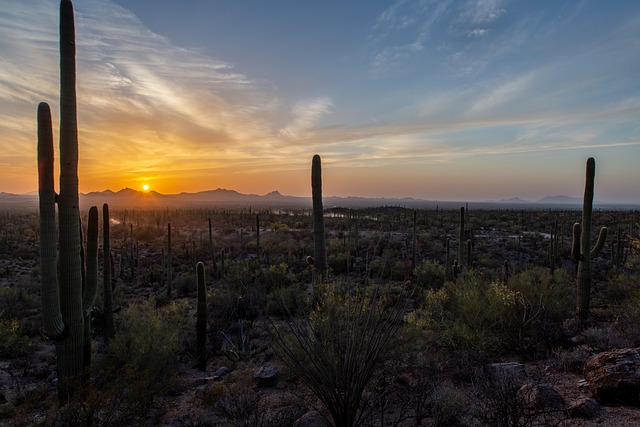 arizona landscape