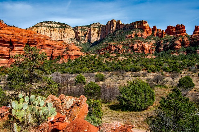arizona landscape