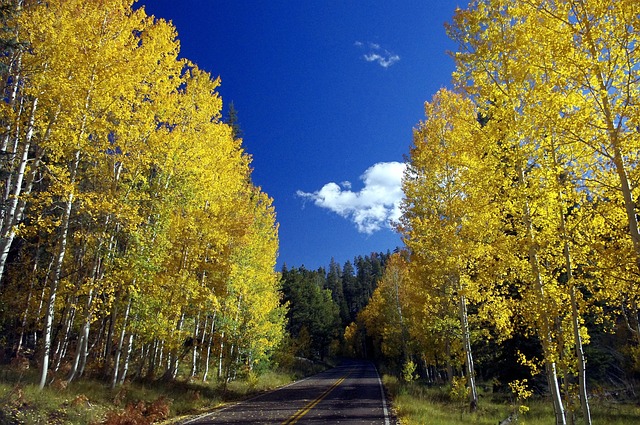 arizona-landscape-640x480-37558359.jpeg