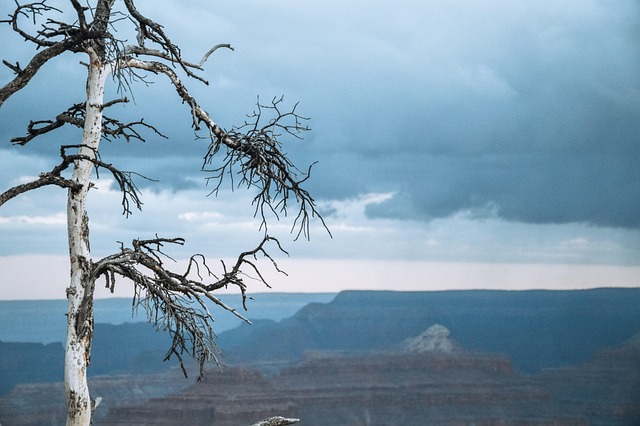 arizona landscape