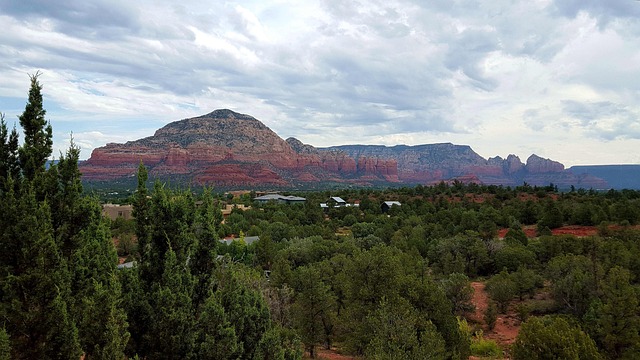arizona landscape